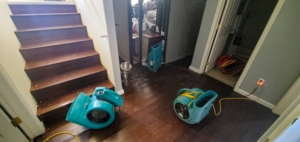 Trusted Sanborn, NY Water damage restoration Experts