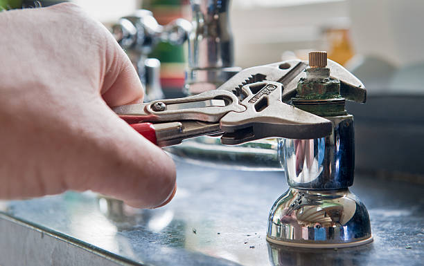 Best Mold removal after water damage  in Sanborn, NY