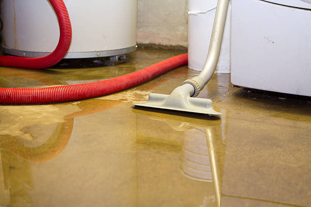 Best Water damage restoration services  in Sanborn, NY