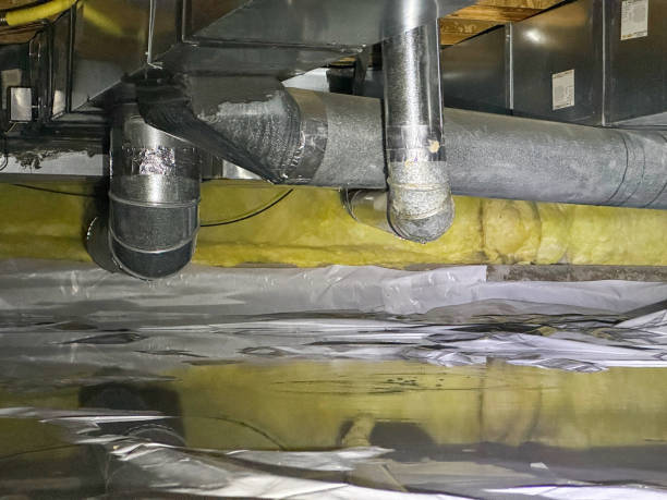 Best Water damage contractors near me  in Sanborn, NY