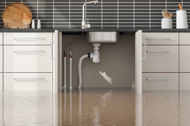 Best 24/7 water damage repair  in Sanborn, NY