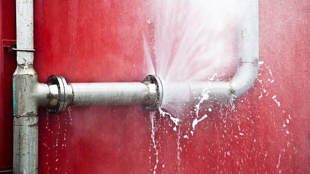 Best Professional water damage repair  in Sanborn, NY