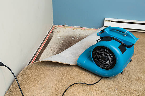Best Sewage cleanup and water damage restoration  in Sanborn, NY